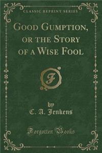Good Gumption, or the Story of a Wise Fool (Classic Reprint)