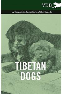 Tibetan Dogs - A Complete Anthology of the Breeds