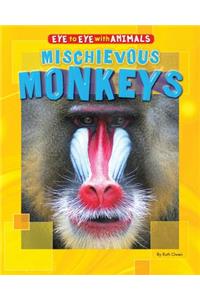 Mischievous Monkeys