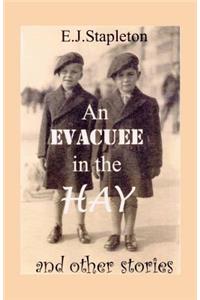 An Evacuee In The Hay