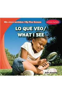 Lo Que Veo / What I See