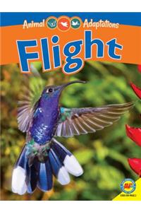 Flight