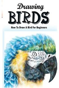 Drawing Birds