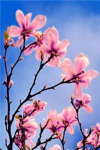 Mind Blowing Spring Tree Journal