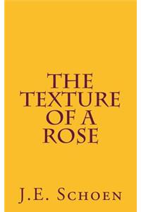Texture of a Rose