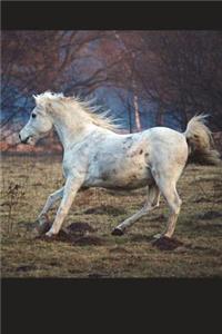 Arabian Horse Running Journal