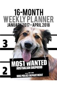 2017-2018 Weekly Planner - Most Wanted Australian Shepherd