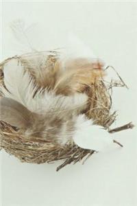 Feathers Appear When Angels Are Near