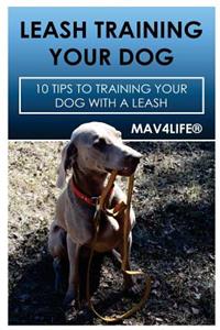 Leash Training Your Dog