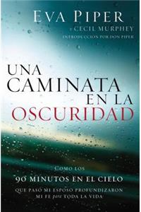 Una caminata en la oscuridad