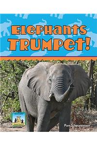 Elephants Trumpet!