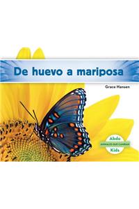 de Huevo a Mariposa (Becoming a Butterfly)