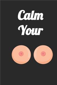 Calm your t*ts funny adult notebook