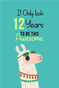 It Only Took 12 Years to be this Awesome