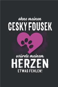 Ohne meinen Cesky Fousek