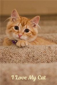 I Love My Cat