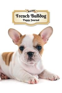 2020 French Bulldog Puppy Journal