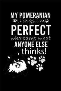 My Pomeranian Thinks I'm Perfect Who Cares What Anyone Else Thinks!
