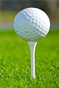 2020 Weekly Planner Golf Player Coach Golfer Team Sports Fan 134 Pages