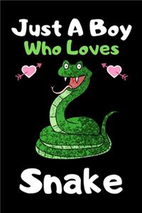 Just a boy who loves snake