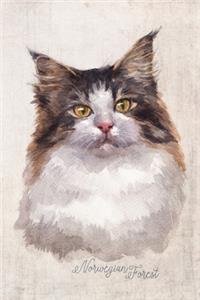 Norwegian Forest Cat Portrait Notebook