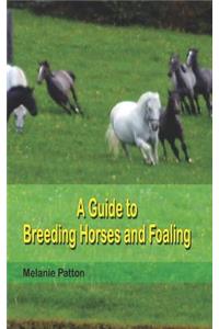 A Guide to Breeding Horses and Foaling