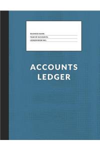 Accounts Ledger