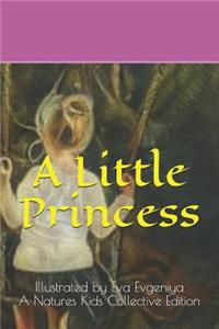 A Little Princess(illustrated by Eva Evgeniya)