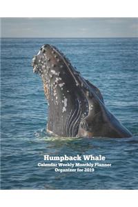 Humpback Whale Calendar Weekly Monthly Planner Organizer for 2019