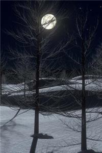 Winter Journals