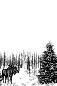 Moose Notebook