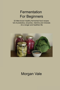 Fermentation For Beginners