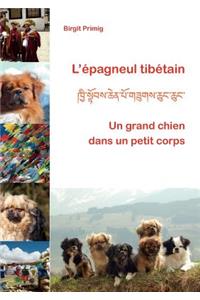 L'épagneul tibétain