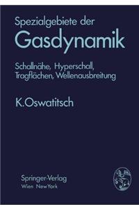 SPEZIALGEBIETE DER GASDYNAMIK