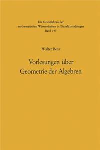 Vorlesungen Über Geometrie Der Algebren