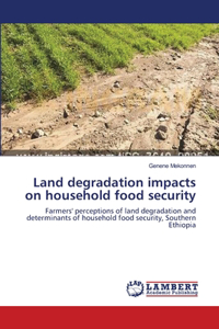 Land degradation impacts on household food security