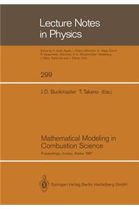 Mathematical Modeling in Combustion Science