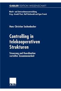 Controlling in Telekooperativen Strukturen
