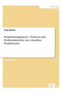 Projektmanagement - Chancen und Problembereiche von virtuellen Projektteams