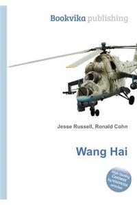 Wang Hai