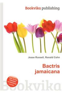 Bactris Jamaicana