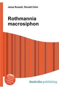 Rothmannia Macrosiphon