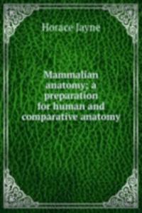 Mammalian anatomy