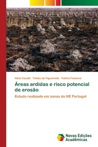 Áreas ardidas e risco potencial de erosão