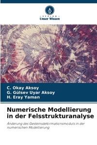 Numerische Modellierung in der Felsstrukturanalyse