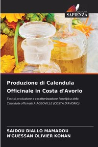 Produzione di Calendula Officinale in Costa d'Avorio