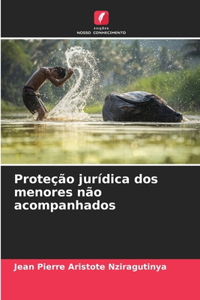 Proteção jurídica dos menores não acompanhados