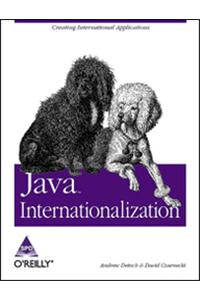 Java Internationalization, 456 Pages