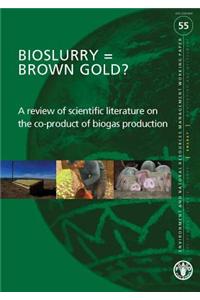 Bioslurry = brown gold?