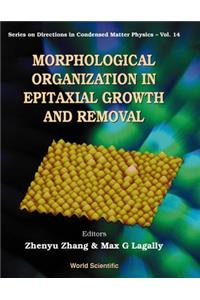 Morphological Organization in Epitaxial Growth and Removal